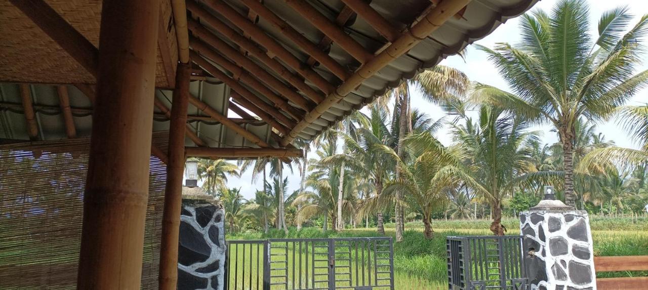 Mysha Guest House-Lombok Tetebatu Exterior foto